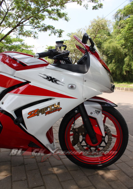 Elegant Sporty Ninja 250R